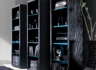 Wohn Zimmer Schränke Regale Bücher Schrank System Möbel Design Trenn Wand Regal