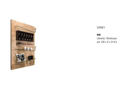 Design Trenn Wand Regal Wohn Zimmer Schränke Glas Regale Bücher Schrank Möbel