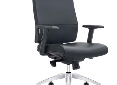 Kunstleder-Sessel in Schwarz mit Edelstahlrahmen modern