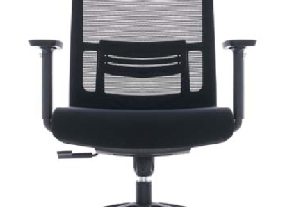 Leder Chesterfield-Sofa in Braun mit Edelstahlrahmen, modern