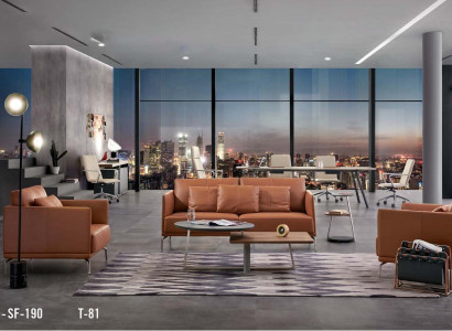 Leder Chesterfield-Sofa in Schwarz modern elegant