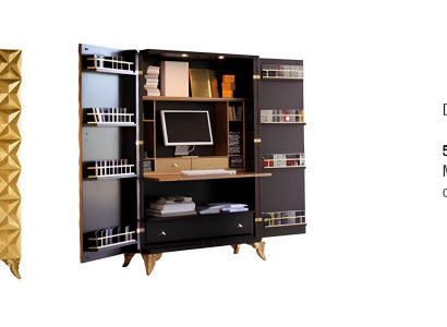 Büroschrank Schrank Regal Echtholz Möbel Vitrine Büro Einrichtung Schränke Neu