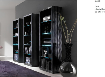 Wohn Zimmer Schränke Regale Bücher Schrank System Möbel Design Trenn Wand Regal