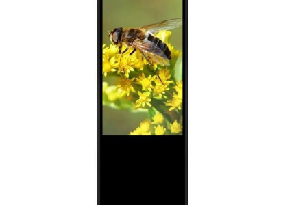 Digitaler Kiosk Interaktive Self-Service-Lösung für Handel, Gastronomie & Info