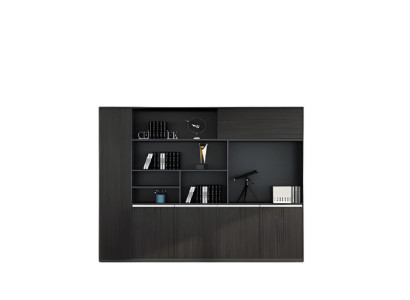 Schrank Büro Aktenschrank Dokumentenschrank Registraturschrank Archivschrank