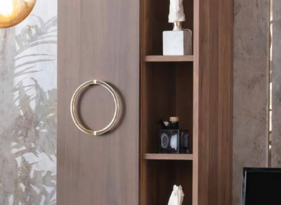 Wandschrank Schrankwand Regal Wandregal Hängeregal Hängeschrank Holz Schrank