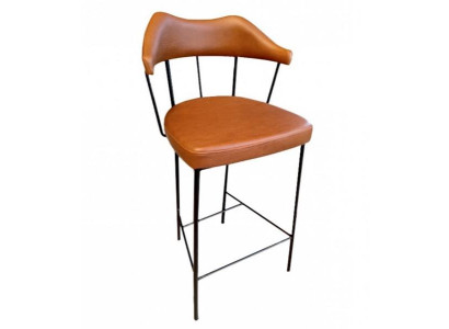 Barhocker Tresenhocker Barstuhl Bistrohocker Lehnstuhl Hocker mit Rücklehne