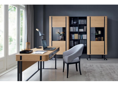 Komplett Büro Arbeitszimmer Set Schreibtisch Aktenschrank Einrichtung