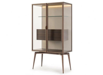 Sammlerschrank Schrankvitrine Glasschrank Ausstellungsregal Schaukasten