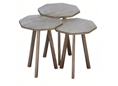 Moderner grauer Holz-Couchtisch-Set für Wohnzimmer