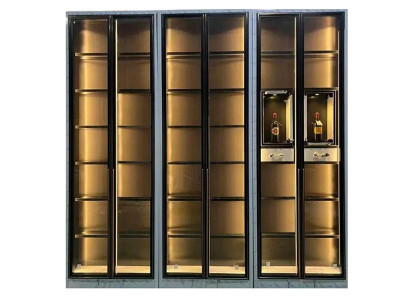 Moderner Edelstahl-Weinschrank mit Dual-Zone-Temperaturregelung in