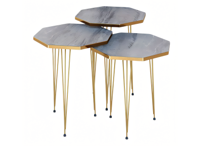 Elegantes graues Couchtisch-Set aus Holz und Edelstahl