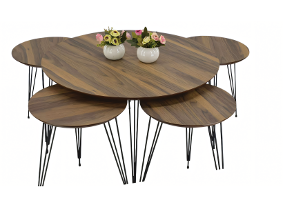 Eleganter brauner Holztisch mit stilvollem Design für Wohnzimmer