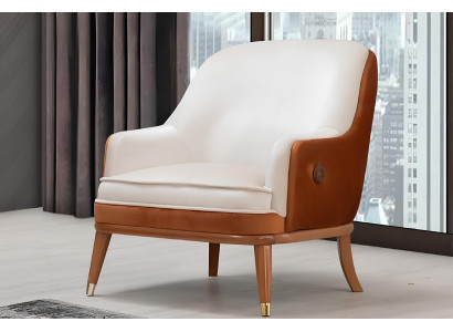 Ein lakonischer Akzent für Ihr Zuhause Sessel in stilvollem Design