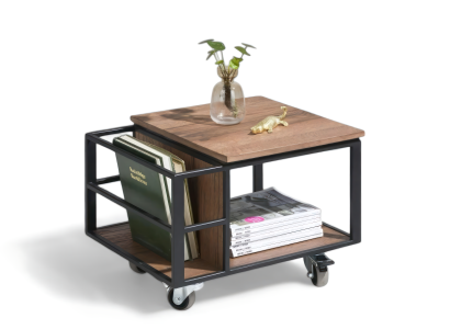 Couchtisch mit Ablagefläche und Stauraum, mit Holzplatte und Metallrahmen