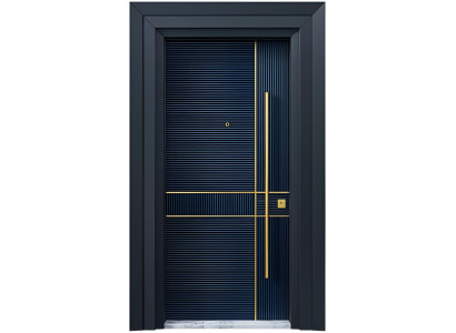 Designer Schwarze Eingangstür Stilvolle Metalltüren Wohntüren