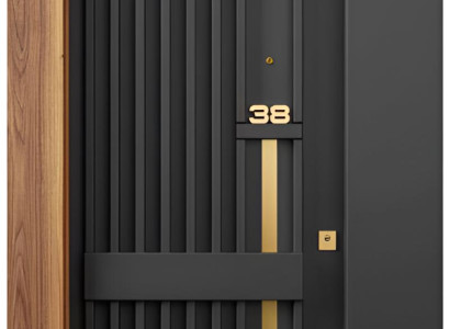 Schwarze Einzeltür Haustüren Sicherheitstür Metalltüren Hoteltüren