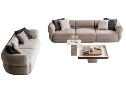 Elegante gemütliche stilvolle Sofas mit Couchtisch in modernem Design
