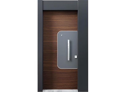 Grau-Braune Eingangstür Wohnungstüren Designer Hotel Stahltüren