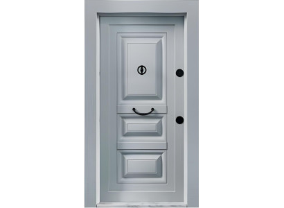 Graue Moderne Eingangstür Zuverlässige Türen Türen für Zuhause