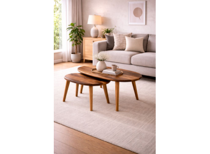 Elegantes Tisch Set mit Couchtisch und Beistelltischen aus Holz