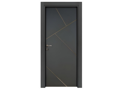 Dunkelgraue Einzeltür Stilvolle Wohnungstüren Edle PVC-Holztüren