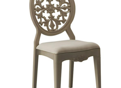 Beiger Carbon-Stuhl mit Rückenlehne für Ess- & Wohnzimmer